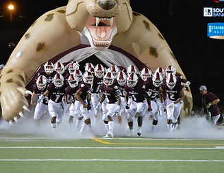 _WHS5050-2 (1)_edited.jpg